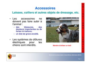 Nom du service ou
office
Département du territoire
Page 14
Service de la consommation et des affaires vétérinaires (SCAV)
O
B
L
I
G
A
T
I
O
N
S
L
E
G
A
L
E
S
Accessoires
Laisses, colliers et autres objets de dressage, etc.
• Les accessoires ne
doivent pas faire subir à
l'animal :
– des blessures, des
douleurs importantes ou de
fortes irri-tations;
– un état de grave anxiété.
• Les systèmes de clôtures
électriques pour les
chiens sont interdits. Manière d'utiliser un halti
 