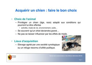 Page 17
Service de la consommation et des affaires vétérinaires (SCAV)
Acquérir un chien : faire le bon choix
• Choix de l'animal
– Privilégier un chien (âge, race) adapté aux conditions qui
pourront lui être offertes
• activités, mode de vie, environnement, coûts…
– Se souvenir qu'un chiot deviendra grand…
– Ne pas se laisser influencer par les effets de mode.
• Lieux d'acquisition
– Elevage agréé par une société cynologique
ou un refuge reconnu d'utilité publique.
 