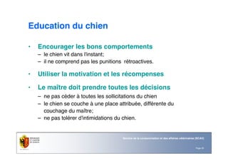 Page 20
Service de la consommation et des affaires vétérinaires (SCAV)
Education du chien
• Encourager les bons comportements
– le chien vit dans l'instant;
– il ne comprend pas les punitions rétroactives.
• Utiliser la motivation et les récompenses
• Le maître doit prendre toutes les décisions
– ne pas céder à toutes les sollicitations du chien
– le chien se couche à une place attribuée, différente du
couchage du maître;
– ne pas tolérer d'intimidations du chien.
 