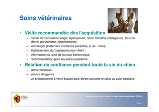 Page 22
Service de la consommation et des affaires vétérinaires (SCAV)
Soins vétérinaires
• Visite recommandée dès l'acquisition
– carnet de vaccination (rage, leptospirose, carré, hépatite contagieuse, toux du
chenil, parvovirose, piroplasmose);
– vermifuger (traitement contre les parasites, p. ex : vers);
– établissement du "passeport pour chien";
– information ou pose de la puce électronique;
– recommandation pour les soins quotidiens.
• Relation de confiance pendant toute la vie du chien
– soins médicaux;
– service d'urgence;
– un professionnel à votre écoute pour divers conseils en plus du suivi sanitaire.
 