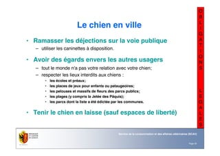 Nom du service ou
office
Département du territoire
Page 23
Service de la consommation et des affaires vétérinaires (SCAV)
O
B
L
I
G
A
T
I
O
N
S
L
E
G
A
L
E
S
Le chien en ville
• Ramasser les déjections sur la voie publique
– utiliser les caninettes à disposition.
• Avoir des égards envers les autres usagers
– tout le monde n'a pas votre relation avec votre chien;
– respecter les lieux interdits aux chiens :
• les écoles et préaux;
• les places de jeux pour enfants ou pataugeoires;
• les pelouses et massifs de fleurs des parcs publics;
• les plages (y compris la Jetée des Pâquis);
• les parcs dont la liste a été édictée par les communes.
• Tenir le chien en laisse (sauf espaces de liberté)
 