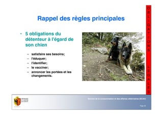 Nom du service ou
office
Département du territoire
Page 30
Service de la consommation et des affaires vétérinaires (SCAV)
O
B
L
I
G
A
T
I
O
N
S
L
E
G
A
L
E
S
Rappel des règles principales
• 5 obligations du
détenteur à l'égard de
son chien
– satisfaire ses besoins;
– l'éduquer;
– l'identifier;
– le vacciner;
– annoncer les portées et les
changements.
 
