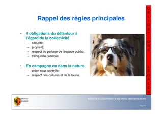 Nom du service ou
office
Département du territoire
Page 31
Service de la consommation et des affaires vétérinaires (SCAV)
O
B
L
I
G
A
T
I
O
N
S
L
E
G
A
L
E
S
Rappel des règles principales
• 4 obligations du détenteur à
l'égard de la collectivité
– sécurité;
– propreté;
– respect du partage de l'espace public;
– tranquillité publique.
• En campagne ou dans la nature
– chien sous contrôle;
– respect des cultures et de la faune.
 