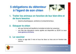 Nom du service ou
office
Département du territoire
Page 6
Service de la consommation et des affaires vétérinaires (SCAV)
O
B
L
I
G
A
T
I
O
N
S
L
E
G
A
L
E
S
5 obligations du détenteur
à l'égard de son chien
1. Traiter les animaux en fonction de leur bien-être et
de leurs besoins
• besoins physiologiques, sanitaires et comportementaux.
2. Eduquer le chien
• afin que l'animal soit équilibré et socialisé et éviter les nuisances;
• une liste des éducateurs canins agréés est disponible au SCAV ou sous
www.geneve.ch/chiens.
3. Le vacciner
• contre la rage dès 5 mois et tous les deux ou trois ans en fonction des
vaccins.
 