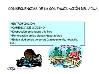 CONSECUENCIAS DE LA CONTAMINACIÓN DEL AGUA EUTROFIZACIÓN CARENCIA DE OXÍGENO Destrucción de la fauna y la flora Perturbación en las plantas depuradoras En la salud de las personas (gastroenteritis, hepatitis, etc.) 