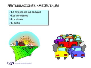 PERTURBACIONES AMBIENTALES La estética de los paisajes Los vertederos Los olores El ruido 