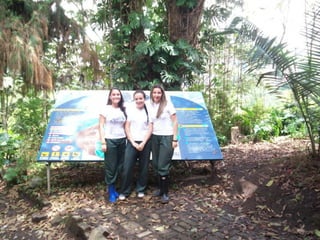 Sensibilización ambiental