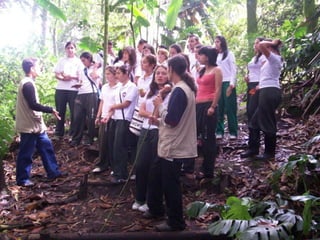 Sensibilización ambiental