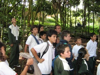 Sensibilización ambiental