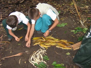 Sensibilización ambiental