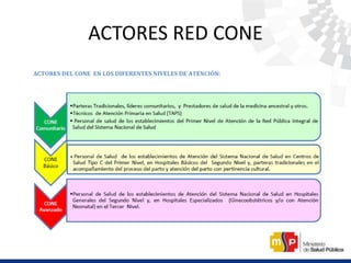 ACTORES RED CONE
 