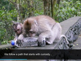 We follow a path that starts with curiosity...
 