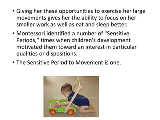 • Giving her these opportunities to exercise her large
movements gives her the ability to focus on her
smaller work as well as eat and sleep better.
• Montessori identified a number of "Sensitive
Periods," times when children's development
motivated them toward an interest in particular
qualities or dispositions.
• The Sensitive Period to Movement is one.
 