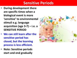 Sensitive Periods
• During development there
  are specific times when a
  biological event is more
  ‘sensitive’ to environmental
  stimuli e.g. language
  acquisition (age 3-7) – i.e. a
  SENSITIVE PERIOD
• We can still learn after the
  sensitive period has
  closed, but the learning
  process is less efficient.
• Note: Sensitive periods
  start and end gradually
 