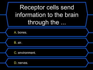 Receptor cells send
 information to the brain
      through the ...
A. bones.


B. air.


C. environment.


D. nerves.
 