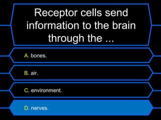 Receptor cells send
 information to the brain
      through the ...
A. bones.


B. air.


C. environment.


D. nerves.
 