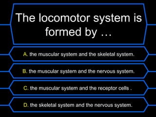 The locomotor system is
      formed by …
 A. the muscular system and the skeletal system.


 B. the muscular system and the nervous system.


 C. the muscular system and the receptor cells .


 D. the skeletal system and the nervous system.
 