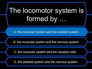 The locomotor system is
      formed by …
 A. the muscular system and the skeletal system.


 B. the muscular system and the nervous system.


 C. the muscular system and the receptor cells .


 D. the skeletal system and the nervous system.
 