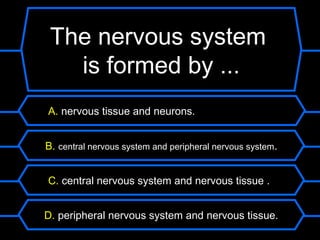 What nutrients system
 The nervous are found
    is formed by ...
    in vegetables?
 A. nervous tissue and neurons.


 B. central nervous system and peripheral nervous system.


 C. central nervous system and nervous tissue .


 D. peripheral nervous system and nervous tissue.
 