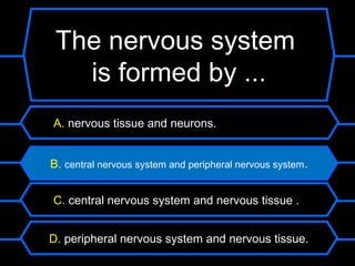 What nutrients system
 The nervous are found
    is formed by ...
    in vegetables?
 A. nervous tissue and neurons.


 B. central nervous system and peripheral nervous system.


 C. central nervous system and nervous tissue .


 D. peripheral nervous system and nervous tissue.
 