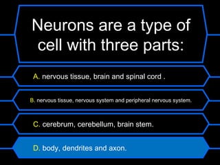 Neurons are a type of
 cell with three parts:
 A. nervous tissue, brain and spinal cord .


B. nervous tissue, nervous system and peripheral nervous system.



 C. cerebrum, cerebellum, brain stem.


 D. body, dendrites and axon.
 