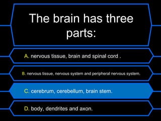 The brain has three
         parts:
 A. nervous tissue, brain and spinal cord .


B. nervous tissue, nervous system and peripheral nervous system.



 C. cerebrum, cerebellum, brain stem.


 D. body, dendrites and axon.
 