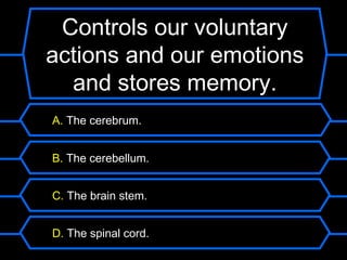 Controls our voluntary
actions and our emotions
  and stores memory.
A. The cerebrum.


B. The cerebellum.


C. The brain stem.


D. The spinal cord.
 