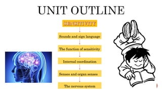 Sign Language Sensitivity UNIT 2 Sensitivity | PPTX