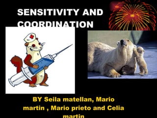 SENSITIVITY AND COORDINATION BY Seila matellan, Mario martin , Mario prieto and Celia martin 