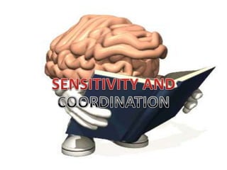 Sensitivity and coordination