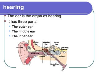 hearing
 The  ear is the organ os hearing.
 It has three parts:
   The outer ear
   The middle ear

   The inner ear
 