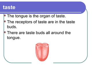 taste
 The tongue is the organ of taste.
 The receptors of taste are in the taste
  buds.
 There are taste buds all around the
  tongue.
 