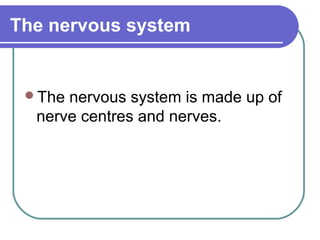 The nervous system


 The nervous system is made up of
  nerve centres and nerves.
 