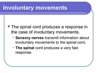 Involuntary movements


  The spinal cord produces a response in
  the case of involuntary movements.
    Sensory   nerves transmit information about
     involuntary movements to the spinal cord.
    The spinal cord produces a very fast
     response.
 