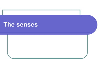 The senses
 