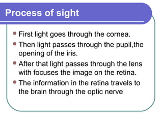 Process of sight

  First light goes through the cornea.
  Then light passes through the pupil,the
   opening of the iris.
  After that light passes through the lens
   with focuses the image on the retina.
  The information in the retina travels to
   the brain through the optic nerve
 