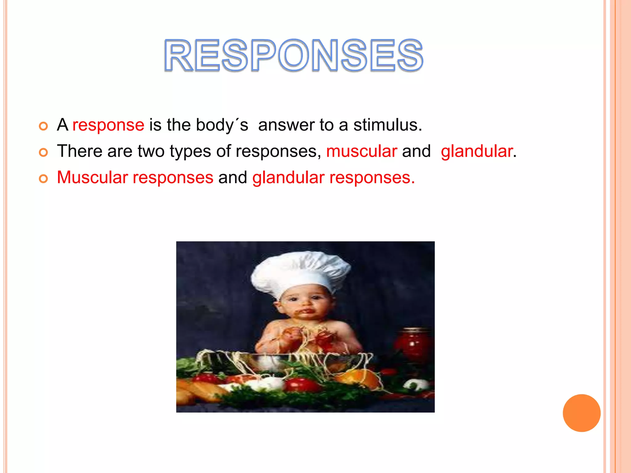    A response is the body´s answer to a stimulus.
   There are two types of responses, muscular and glandular.
   Muscular responses and glandular responses.
 