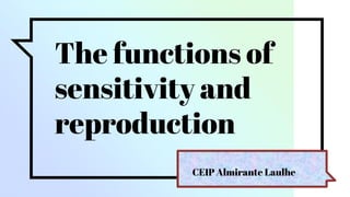 The functions of
sensitivity and
reproduction
CEIP Almirante Laulhe
 