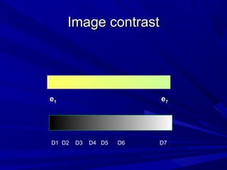 Image contrast

e1

D1 D2

e7

D3

D4 D5

D6

D7

 