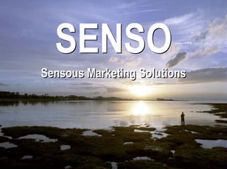 SENSO
Sensous Marketing Solutions
 