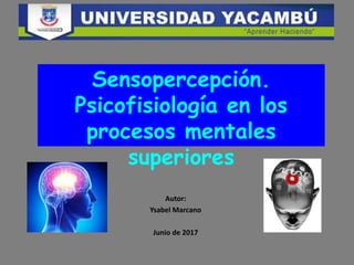 Autor:
Ysabel Marcano
Junio de 2017
Sensopercepción.
Psicofisiología en los
procesos mentales
superiores
 