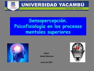 Autor:
Ysabel Marcano
Junio de 2017
Sensopercepción.
Psicofisiología en los procesos
mentales superiores
 