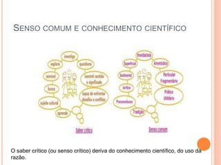 SENSO COMUM E CONHECIMENTO CIENTÍFICO
O saber crítico (ou senso crítico) deriva do conhecimento científico, do uso da
razão.
 