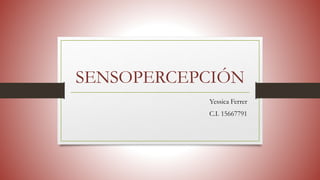 SENSOPERCEPCIÓN
Yessica Ferrer
C.I. 15667791
 