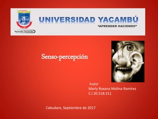 Senso-percepción
Autor
Marly Roxana Molina Ramírez
C.I 20.518.311
Cabudare, Septiembre de 2017
 