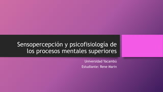 Sensopercepción y psicofisiología de
los procesos mentales superiores
Universidad Yacambú
Estudiante: Rene Marin
 