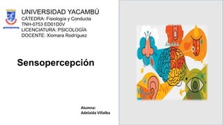 Sensopercepción
UNIVERSIDAD YACAMBÚ
CÁTEDRA: Fisiología y Conducta
TNH-0753 ED01D0V
LICENCIATURA: PSICOLOGÍA
DOCENTE: Xiomara Rodríguez
Alumna:
Adelaida Villalba
 