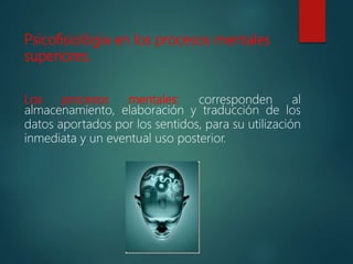 Psicofisiológia en los procesos mentales
superiores.
Los procesos mentales: corresponden al
almacenamiento, elaboración y traducción de los
datos aportados por los sentidos, para su utilización
inmediata y un eventual uso posterior.
 
