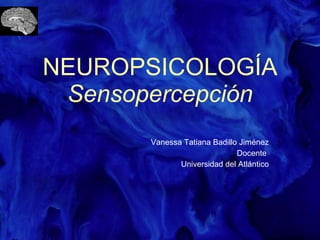 NEUROPSICOLOGÍA Sensopercepción Vanessa Tatiana Badillo Jiménez Docente  Universidad del Atlántico 