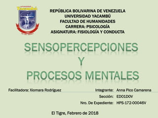 Facilitadora: Xiomara Rodríguez
El Tigre, Febrero de 2018
Integrante: Anna Pico Camarena
Sección: ED01D0V
Nro. De Expediente: HPS-172-00046V
 